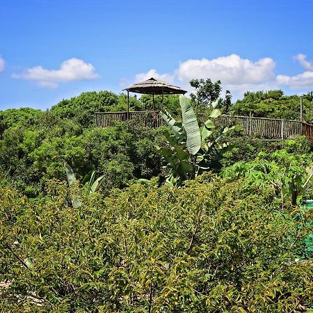 Kosi Bay Lodge Manguzi Exteriör bild